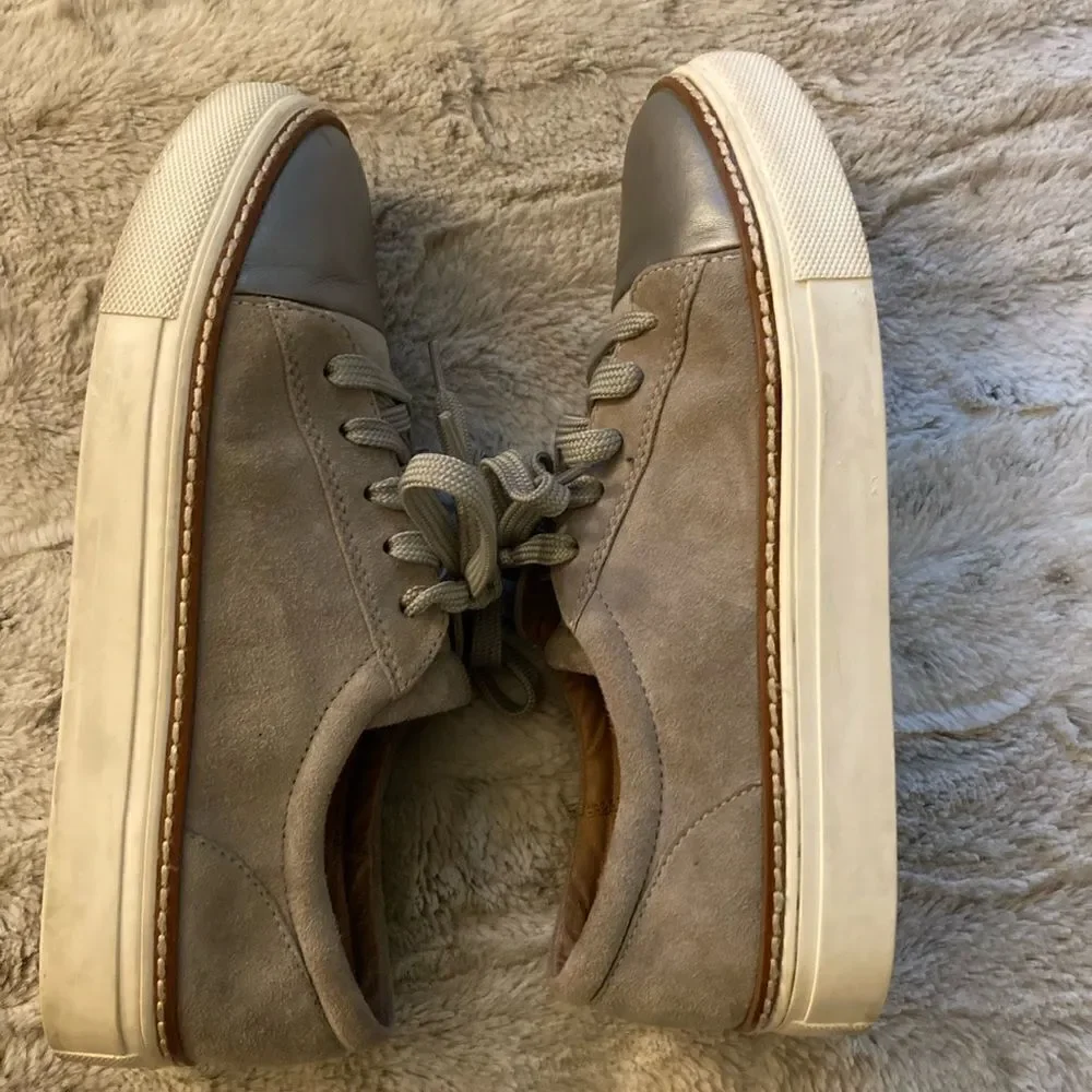 𝅺: : Caslon Suede Metallic & Grey Sneakers : :​